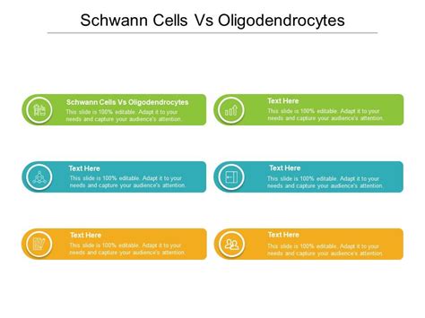 Schwann Cells Vs Oligodendrocytes Ppt Powerpoint Smartart Cpb ...