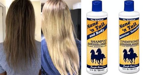 Horse Shampoo Promises Hair Regrowth And Has More Than 1000 Reviews On Amazon - Small Joys