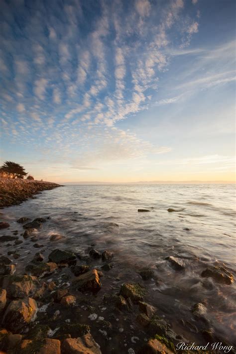 Alameda Shoreline Park Photo | Richard Wong Photography