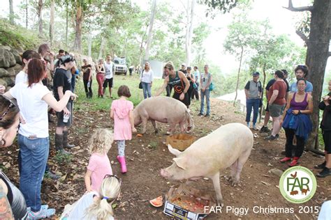 Farm Animal Rescue | Saving animals from a life of cruelty