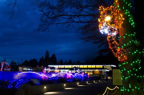 WildLights - Woodland Park Zoo Seattle WA