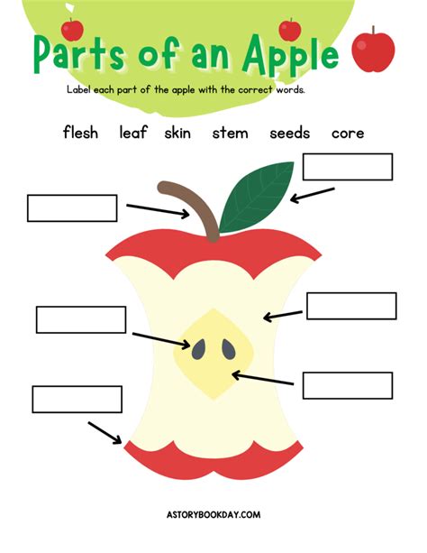 Free Printable Parts of an Apple Worksheet for Kids - A Storybook Day