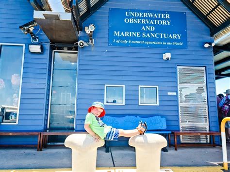 Busselton Jetty Underwater Observatory - Buggybuddys guide to Perth