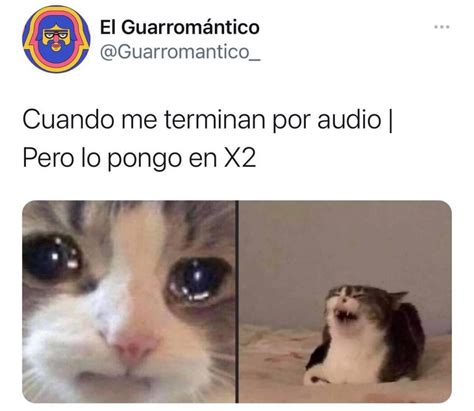 Los memes más divertidos de la nueva función de WhatsApp que permite ...