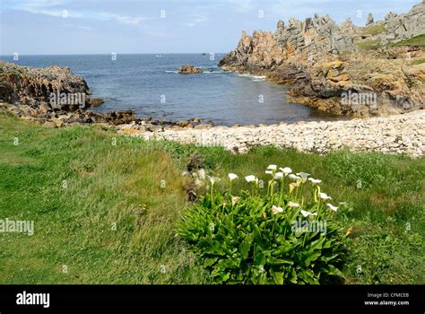 Ushant island, Brittany, France, Europe Stock Photo - Alamy