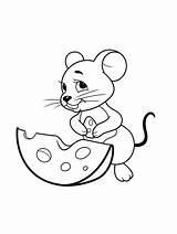 Mouse coloring Pages  Animal Coloring Printable sketch template