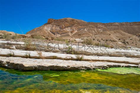 Water oasis in the desert - stock photo | Crushpixel