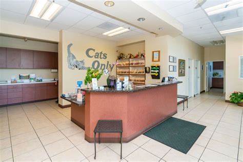 Cat Vet Near Me Rocklin, CA | Cats Only Veterinary Hospital