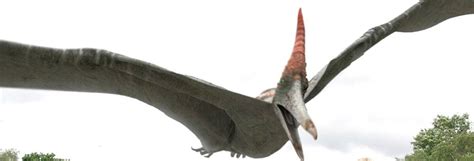 Pteranodon | Primeval: The Reboot Wiki | Fandom