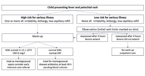 Management of children presenting with fever and petechial rash in the... | Download Scientific ...