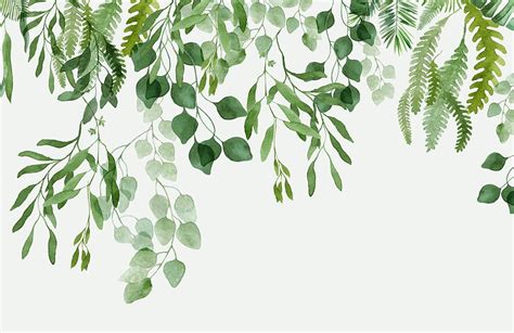 Green Vines Wall Murals | Ever Wallpaper UK