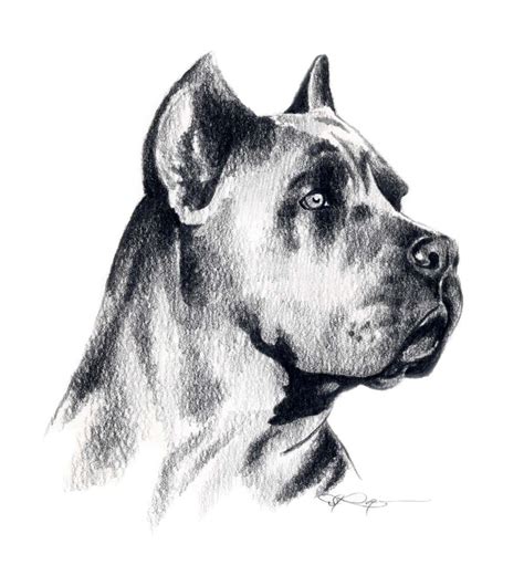 CANE CORSO Dog Art Print Signed by Artist DJ Rogers