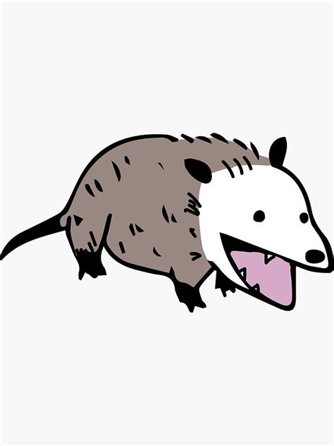 Possum doodle Sticker by elysedraws in 2021 | Cute animal drawings, Animal drawings, Possum