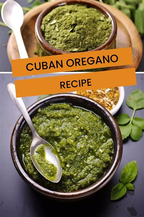 Cuban Oregano Recipe – Hungarian Chef