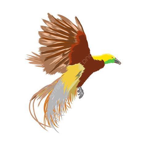 Illustration Of Bird Paradise Vector, Bird, Paradise, Paradise Bird PNG ...