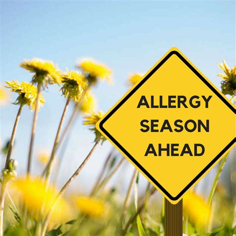 Tips to Prevent Spring Allergies | Southern California Hospital at Hollywood