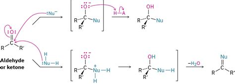 19.5: Nucleophilic Addition Reactions of Aldehydes and Ketones - Chemistry LibreTexts