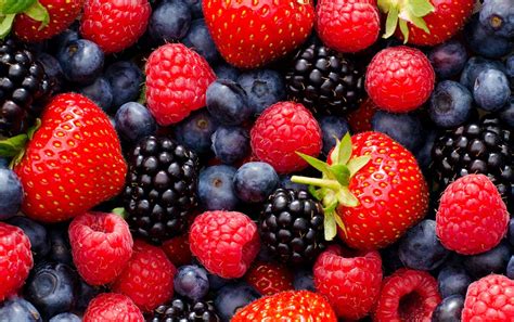 Identifying Edible Berries | Survival Daily