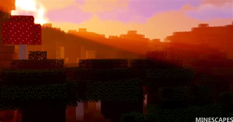 Minecraft Landscapes — Minescapes Landscape 62 A forest sunset.