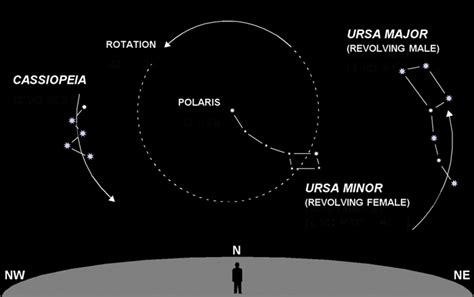 Circumpolar Constellations – SKY LIGHTS