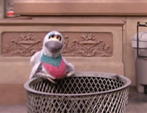 Pigeons - Muppet Wiki