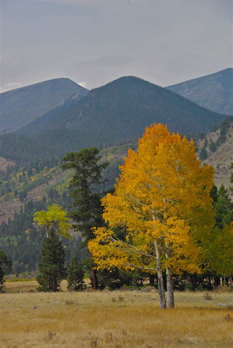 Fall in the Rocky Mountain National Park | Rocky mountain national park ...