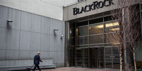 BlackRock faces lawsuit over allegedly 'misleading' ESG strategy ...