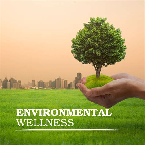 Environmental Wellness