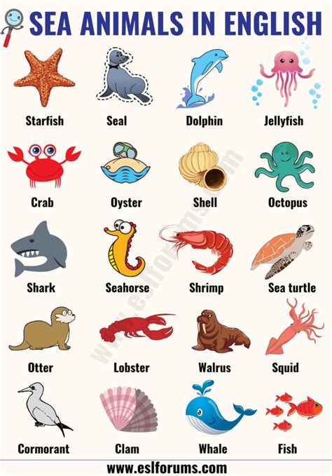 Sea Animals: List of 20+ Interesting Sea, Ocean Animals with the ...