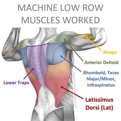 low row machine one hand - Sueann Begay