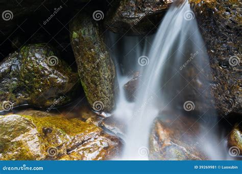 Mountain stream stock image. Image of nature, wild, stream - 39269981