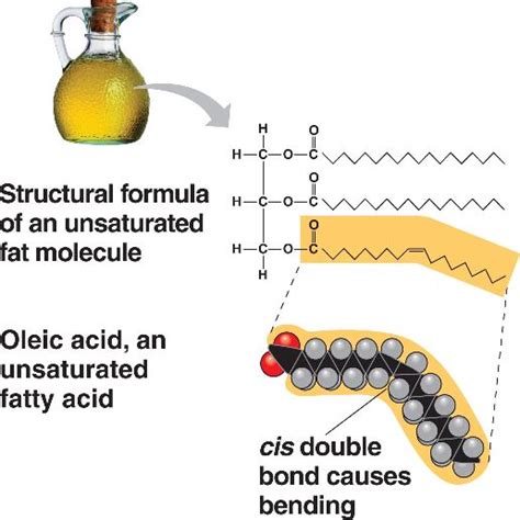 fat-unsaturated.html 05_12bSaturatedUnsatFat-L.jpg