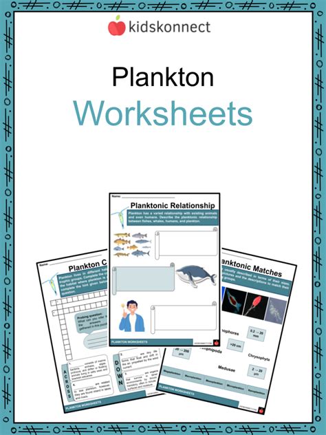 Plankton Facts & Worksheets | Groups, Ecological Significance