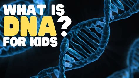 What Is DNA for Kids | An easy overview of DNA for children | Awesome ...