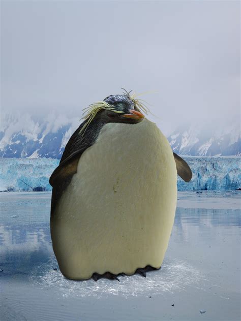 Fat Penguin by dark747 on DeviantArt