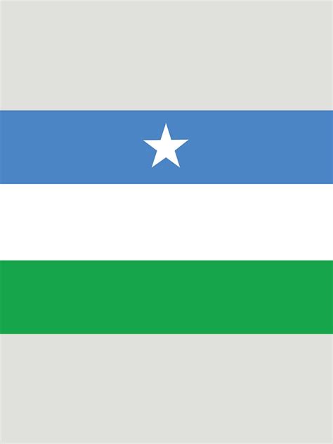 "Flag of Puntland" T-shirt for Sale by wickedcartoons | Redbubble | flag of puntland t-shirts ...