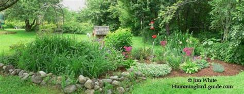 Hummingbird Garden Plans. Creating a Hummingbird Garden.