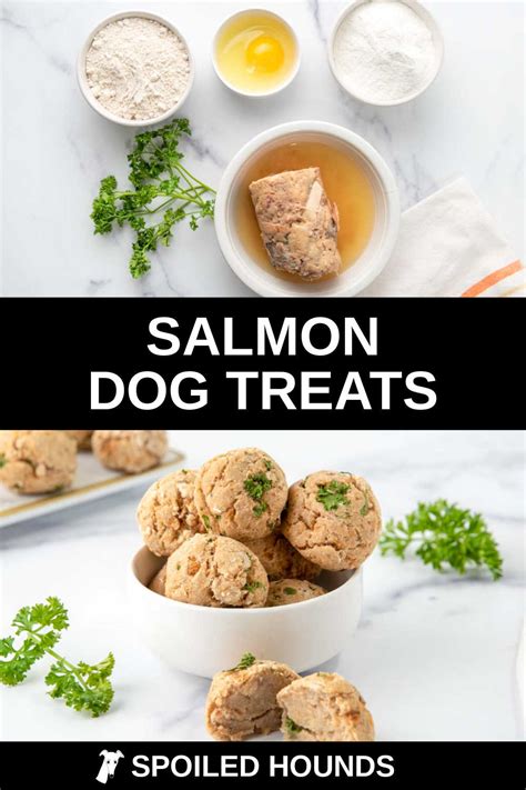 Best Homemade Salmon Dog Treats Recipe - Spoiled Hounds