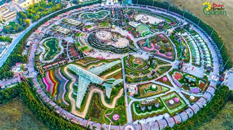 Dubai Miracle Garden: World's largest flower garden | CNN