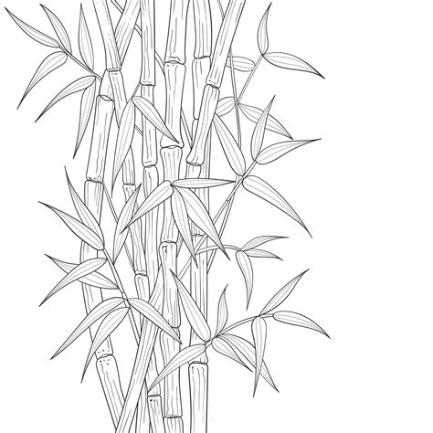 Hand drawn bamboo illustration isolated on white background. 2098385 Vector Art at Vecteezy