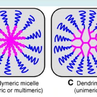 Liposomes are composite structures made of phospholipids and may ...