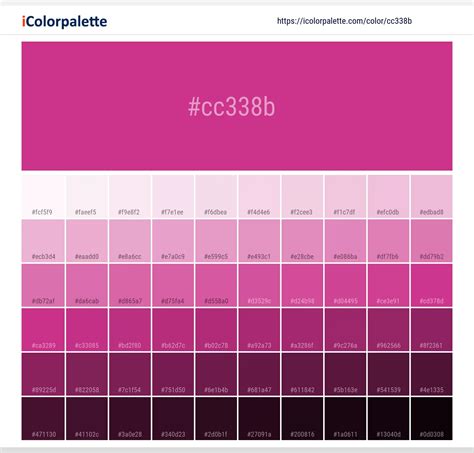 Magenta Color Code Rgb - Cmyk To Rgb Rgb Cmyk Hex Online Color Code Converter : English language ...