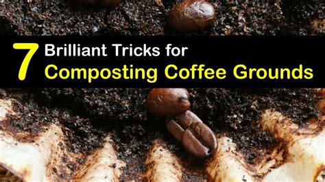 Can Coffee Grounds be Composted - Compost Your Coffee