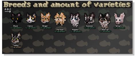 Better Cats 1.20.2/1.20.1/1.20/1.19.2/1.19.1/1.19/1.18/1.17.1/Forge/Fabric packs minecraft