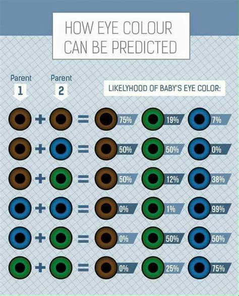 Pin by Mike🚛🐮 on Fun & Not So Fun Facts | Eye color chart, Eye color chart genetics, Blue eye color