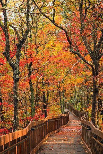 Cheaha State Park, Alabama | Autumn Memories | Pinterest