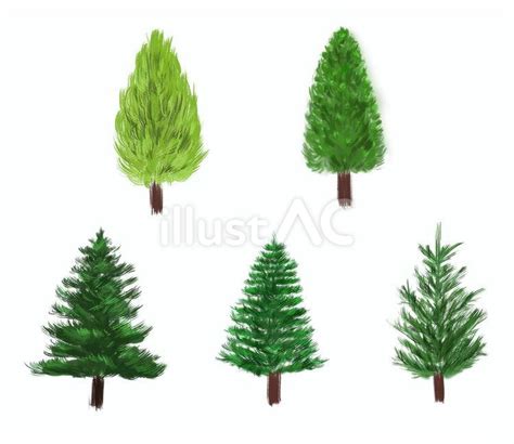 Free Vectors | Fir tree realistic illustration set