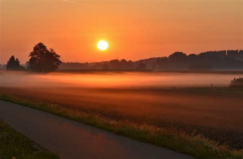 Scenic View of the Forest During Sunrise · Free Stock Photo