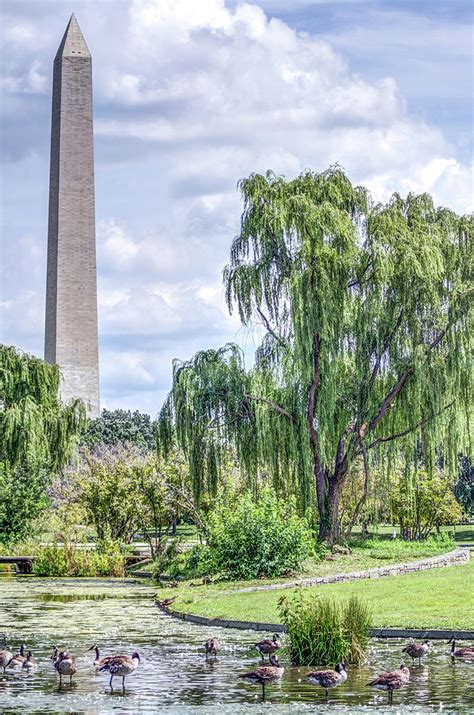 Constitution Gardens I Photograph by Nicola Ibba | Fine Art America