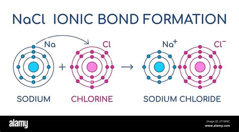 Sodium Chloride ionic bond formation. NaCl structure. Sodium and Chlorine atom chemical reaction ...